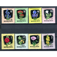 Венгрия - 1961г. - Лекарственные растения - полная серия, MNH, 2 марки с жёлтыми пятнами на клее, одна с маленьким жёлтым пятнышком на лицевой, 3 с трещинками на клее, 2 с отпечатками на клее [Mi 1799