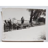 Фото деревня лошадка