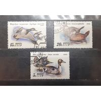 СССР. 1991 год. Фауна. Птицы. Утки (424)