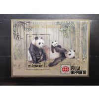 Корея. 1991 г. Фауна. Медведи. Блок (859)