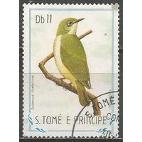 Сан Томе и Принсипи. Птицы. Белоглазка. 1983г. Mi#888.