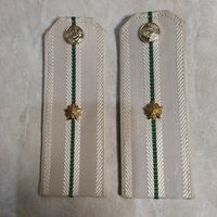 Погоны младшего советника таможенной службы. Беларусь.