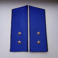Погоны прапорщика/сверхсрочника КГБ СССР