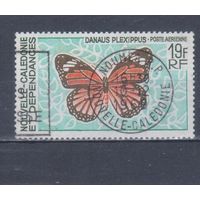 [1109] Новая Каледония 1967. Фауна.Бабочка. Гашеная марка. Кат.гаш.5 е.