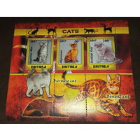 СЕРИЯ Блоков кошки собаки тигры  фауна  MNH