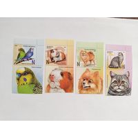 Беларусь  2025   4 м +4 куп.