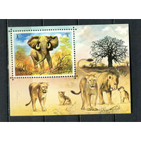 Умм-эль-Кайвайн - 1971 - Дикие животные - [Mi. bl. 34] - 1 блок. MNH.  (Лот 88HS)-TG3P13