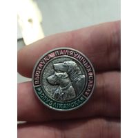 Выставка охотничьих собак,Беларусь