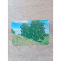 Календарик 1989