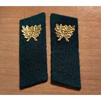 Петлицы лесника