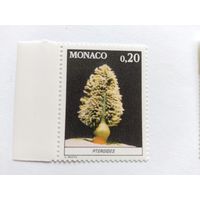 Монако 1980
