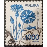 Польша 1989. Флора. Chaber Blawatek