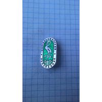 Кургальджинский заповедник. Казахстан.