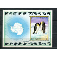 Умм-эль-Кайвайн - 1972 - Пингвины - [Mi. bl. 51] - 1 блок. MNH.  (Лот 89HS)-TG3P13
