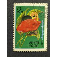 1971 СССР. Тропические и субтропические растения. Антуриум Шерцера