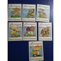 Никарагуа 1990г. Грибы.