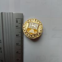 Значок Семёнов древний герб