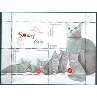 2009. 805-807. Кошки **