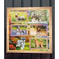 СЕРИЯ Блоков кошки собаки тигры  фауна  MNH