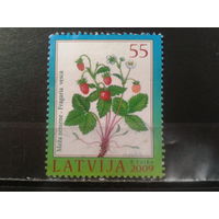 Латвия, 2009. Малина лесная. Mi-1,6 евро гаш