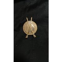 Знак за отличную стрельбу