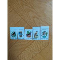 Беларусь серия марок 1998 г. Птицы