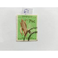 ЮАР  1961 кукуруза