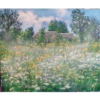 Солнечный день. Поле. Травы