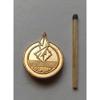 Значок, знак  "Зубронак "