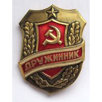 Дружинник.