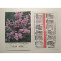 Карманный календарик. Минск. Сирень. 1987 год