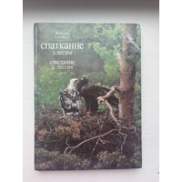 Вячаслау Алешка спатканне з лесам (свидание с лесом )1990 на белорусском языке