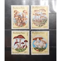 Буркина Фасо. 1985 год. Флора. Грибы (964)