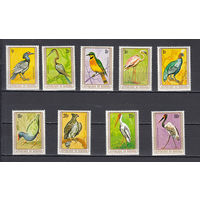 Фауна. Птицы. Бурунди. 1979. 9 марок. Michel N 1488-1496 (25,0 е)