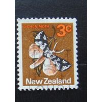 Новая Зеландия 1970 фауна Бабочка 3с