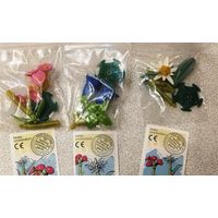 Цветы. Flowerpower. Серия,2002 г