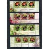 Беларусь 2015. Фауна. Божья коровка. Нижняя сцепка листа