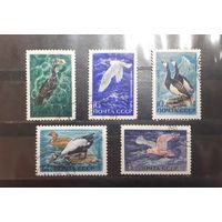 СССР. 1972 год. Фауна. Птицы (429)