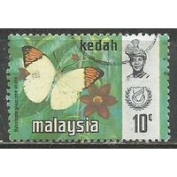 Малайские штаты(Кедах). Бабочка белянка. 1971г. Mi#117.