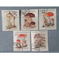 Чехословакия грибы 5шт