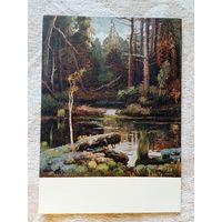 1957. Титков. Озеро Лешачье