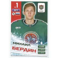 Михаил Бердин / Коллекция "Ак Барс Казань 2025-206"