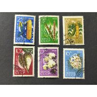 1964 СССР. Сельскохозяйственные растения