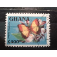 Гана, 1995. Бабочка. Mi-0.70 евро гаш.