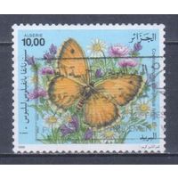 [2337] Алжир 1996. Фауна.Бабочка. Гашеная марка.
