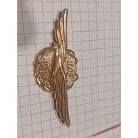 Значок юный пилот Швеция