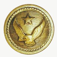 Чили. ВВС. Мундирная пуговица. 15 мм Fab. CHILENA  E.PUGGENER R