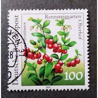 Марка Германия 1991 год Ягоды