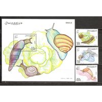 Сомали 2003 Фауна Ракушки Моллюски MNH