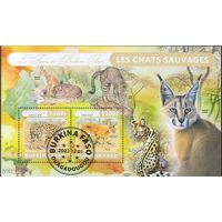 БУРКИНА ФАСО 2022 год  ФАУНА ЖИВОТНЫЕ  блок